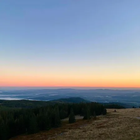 Victoria Aparts * 卡尔帕奇