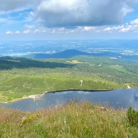 公寓 Victoria Aparts 卡尔帕奇