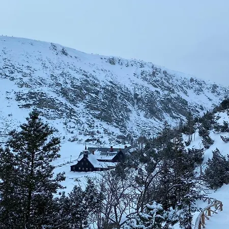 Victoria Aparts * 卡尔帕奇