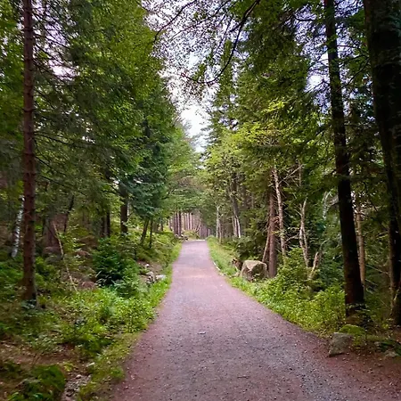 公寓 Victoria Aparts 卡尔帕奇