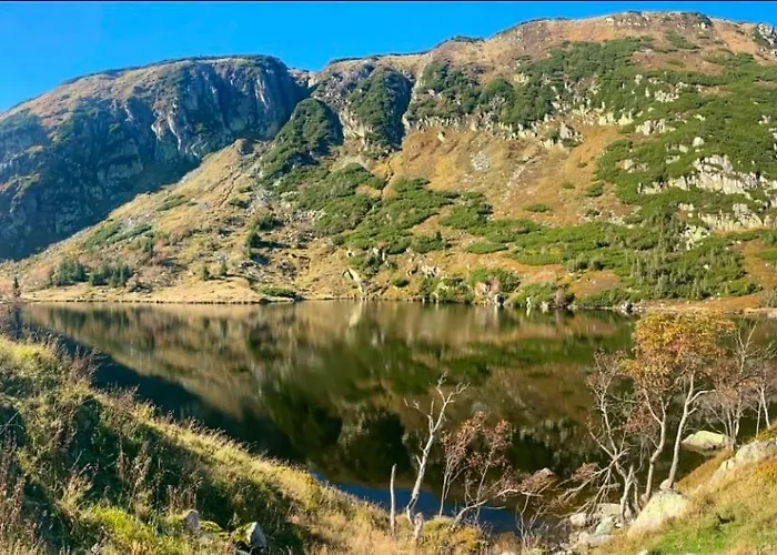 Victoria Aparts شقة