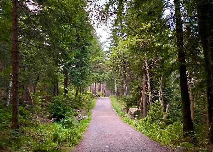 شقة Victoria Aparts كارباش